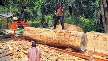 LT15 Sawmill Creates Jobs in Poorest Country of World